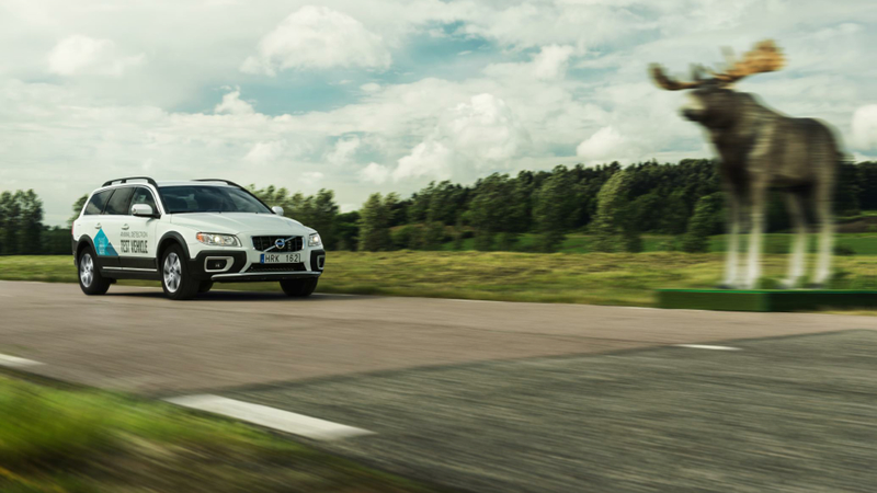 Illustration for article titled Volvo Shows Off The Latest In Cutting-Edge Moose Evasion Technology
